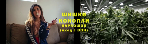 шишки Богородск