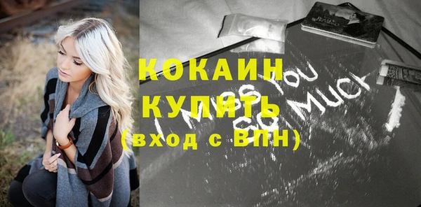 шишки Богородск