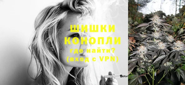 шишки Богородск