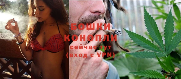 шишки Богородск